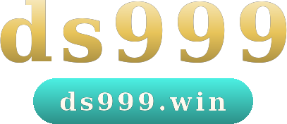 ds999 logo